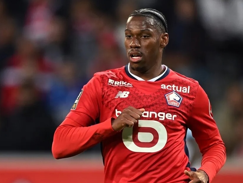 焕发新的光 焕发新的光